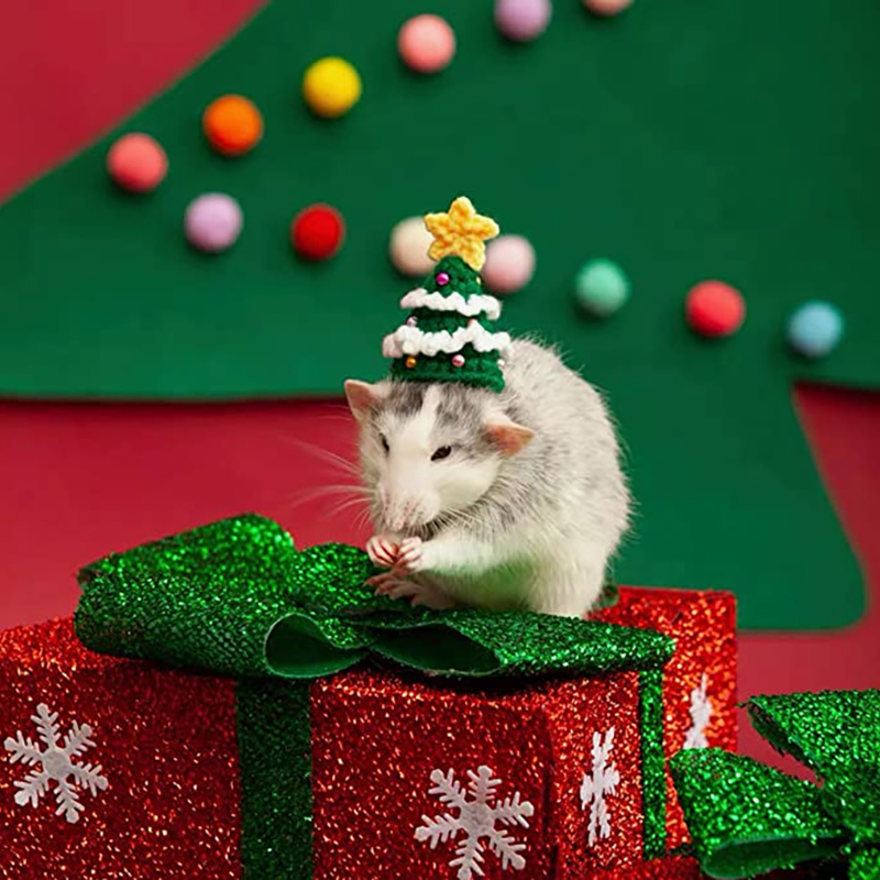 Hand Woven Pet Christmas Hat D - đánh giá và giá Santa Hat Plush