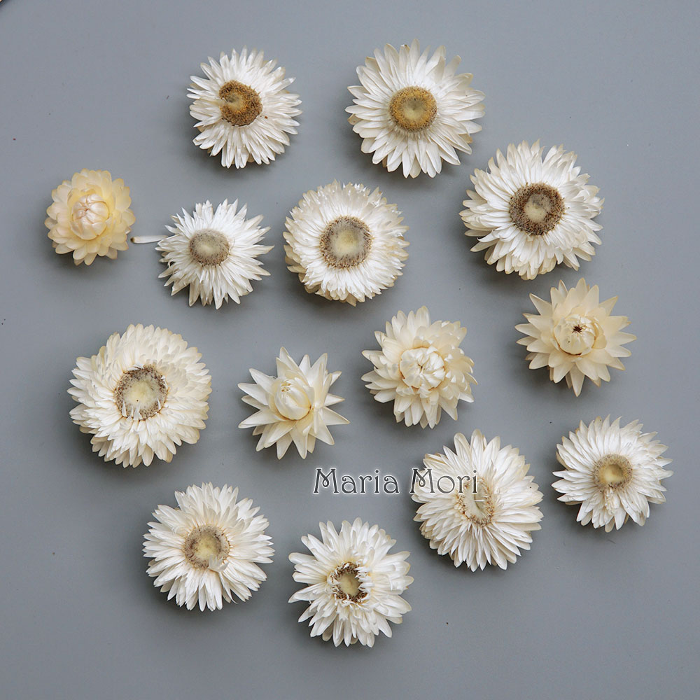 Natural Dried Colorful Chrysan - đánh giá và giá Holiday Candle Set