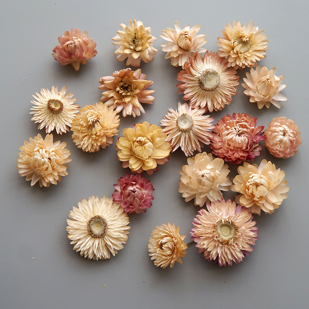 Natural Dried Colorful Chrysan - đánh giá và giá Holiday Candle Set